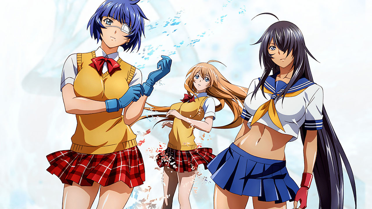 Shin Ikkitousen – A New Chapter in the Legendary Battle Series